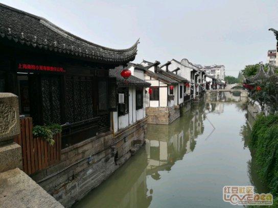 南充顺庆:春潮涌动临江新区 项目建设风生水起
